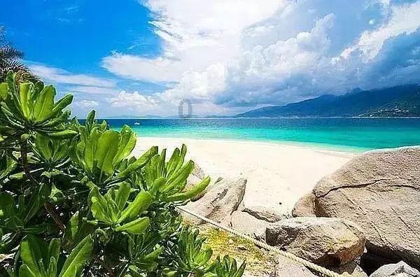 熊晓泉当选湖北省教科文卫体工会主席